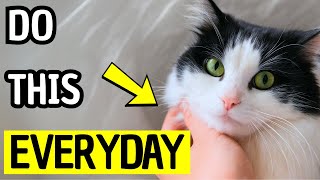 8 Signs Your Cat Loves You DEEPLY – Try This One Daily