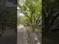 اغرب حدائق طوكيو 🇯🇵😍