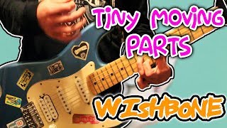 Tiny Moving Parts - Wishbone Guitar Cover 1080P
