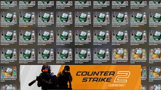 my investment in counter strike 2