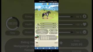 Howrse #1 screenshot 4