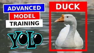 Object detection with Yolov8 | Data issues vs model performance