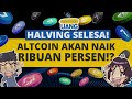 Altcoin apa yang naik setelah bitcoin halving