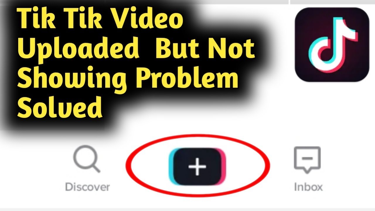 I Posted A Video On Tiktok And It'S Not Showing