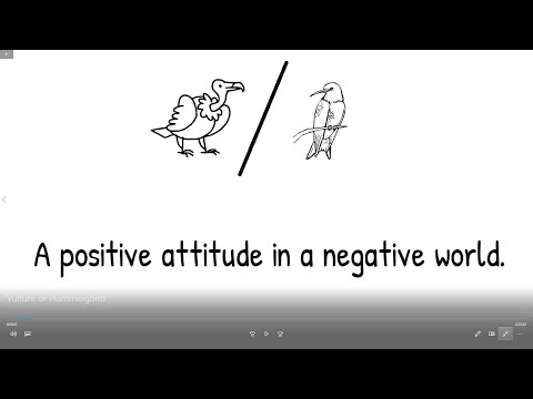 A Positive Attitude in a Negative World - Are you a Vulture or Hummingbird?