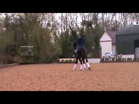 Sirocco training at Carl Hester's with Rebecca Hug...