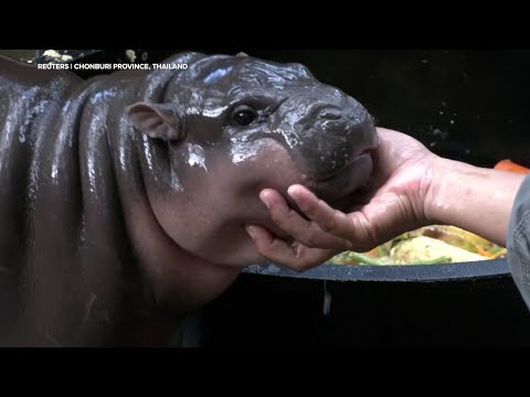 ADORABLE! Two-month-old baby