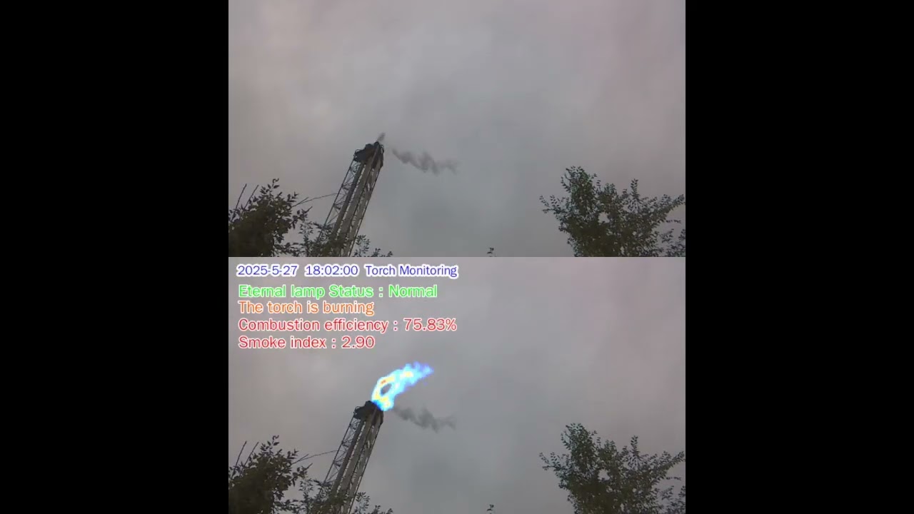 Flare monitoring demo 2025
