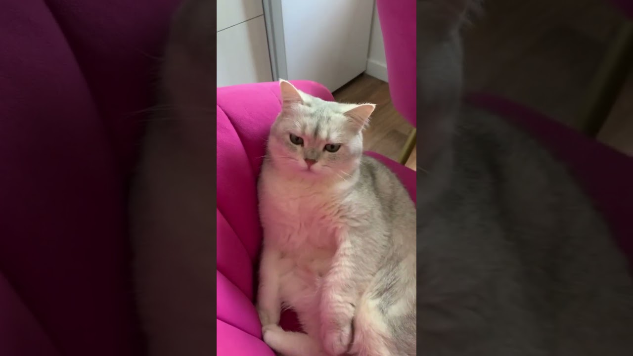 Всем привет🤗🤗🤗🥰 