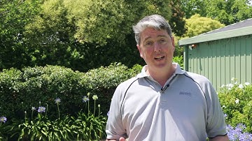 How many litres is my pool?