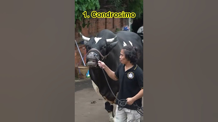 PECAH REKOR_4 SAPI JUMBO IRFAN HAKIM DI IDUL ADHA 2024 #shorts #artis #viral #cow #iduladha