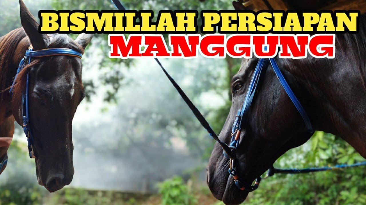 Pripair persiapan manggung si bento putra❗