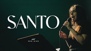 Video thumbnail of "Santo (Devocional V.1) | New Wine"