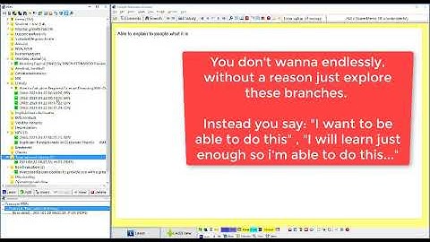 Clarifying goals with concepts in incremental reading