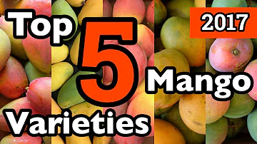 Quante varietà di mango ci sono?