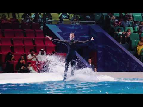 Dolphin Show Dubai @ Dubai Dolphinarium