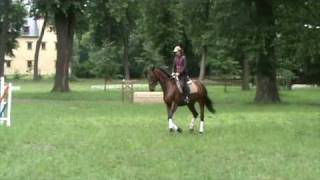 Koń Na Sprzedaż - Klacz Z Linii Grannusa