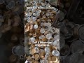 Pattal dona Machine available 9783433020#reel #follow #share #share #production #rajshtan