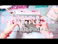 【まったり】システム手帳持ち歩くなら手帳ダイエットしよう【購入品紹介】