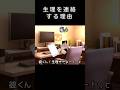 彼氏に生理がきた報告しても理由がわからないらしい#猫ミーム #恋愛 #あるある #shorts