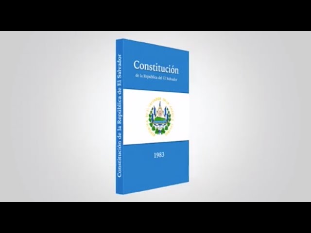 14 Conozcamos la Constitución de la República de El Salvador - Artículo  65