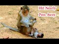 The Most SAD Crying Baby Monkey Mom Weaning Milk ,Poor baby Monkey MOm Hurt Very Bad Near Pass away