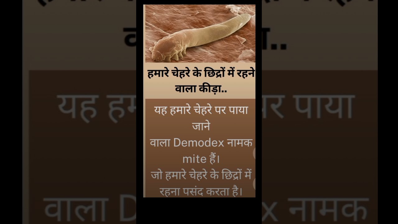 Shorts हम र च हर क छ द र म रहन व ल क ड Shorts By Chandan Kumar Youtube