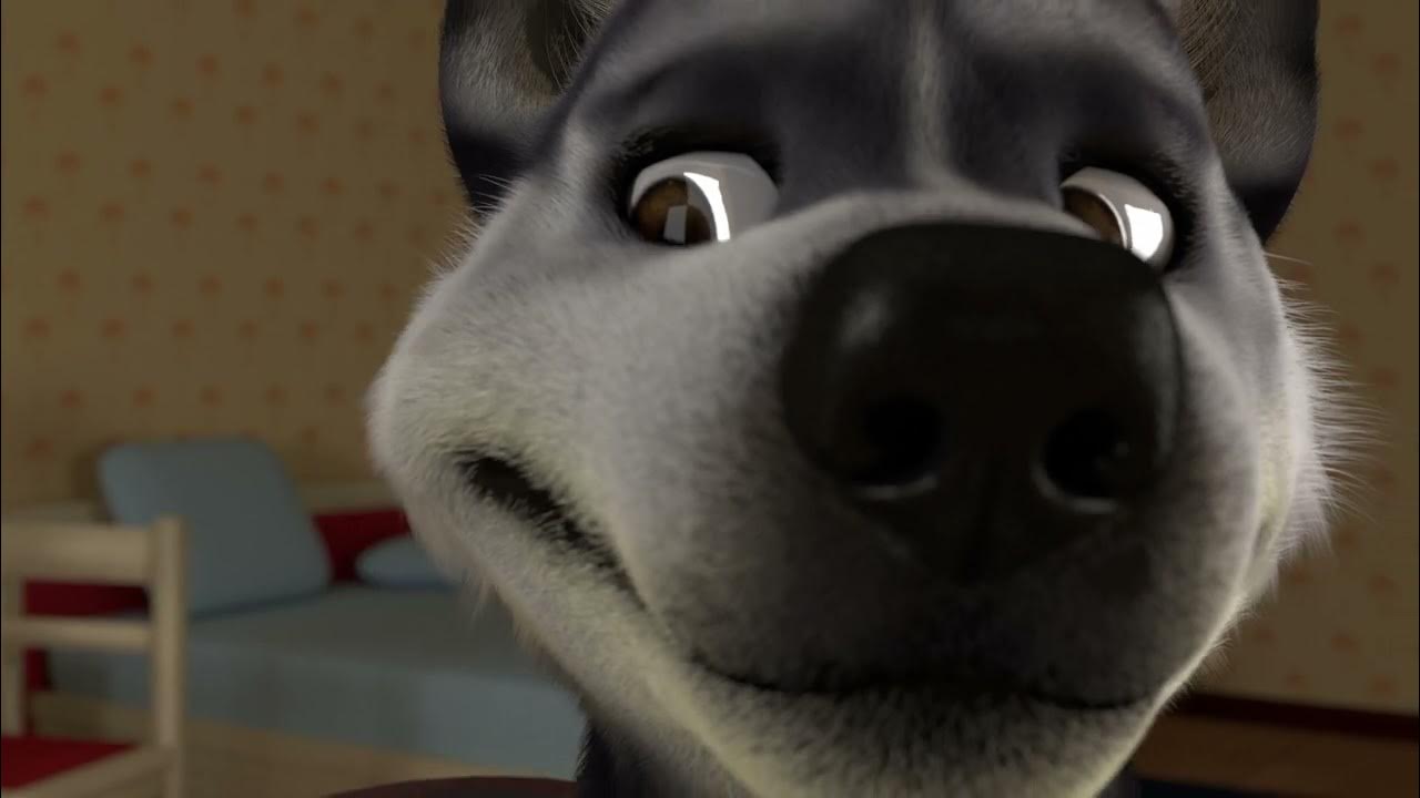 Husky Eats Wolf - 4K - (Untied_Verbeger) - YouTube