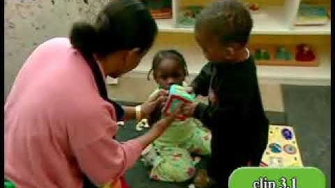 CSEFEL 3.1 Observing hitting behaviour