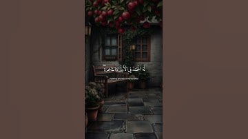 #محمد_ايوب #سورة_القصص 📻