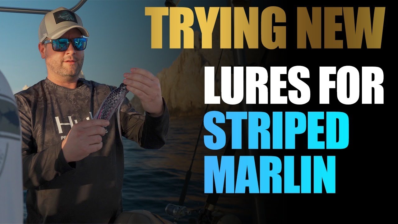 Trying new lures and dead bait for striped marlins in Cabo San Lucas