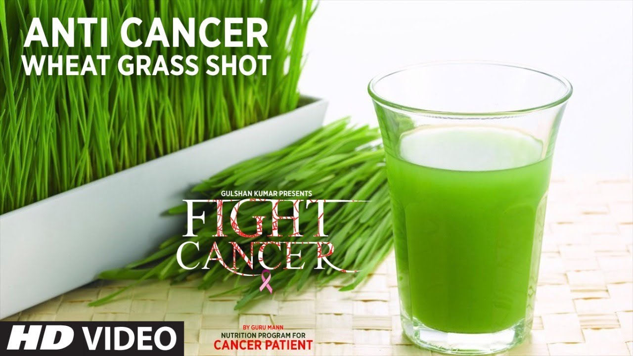 fight cancer- wheatgrass shot | nutrition plan designed & createdguru  mann