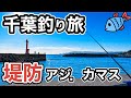 千葉の堤防を釣り歩く…アジ・カマス一進一退、最後にまさかの美味しいアレも！2026.3