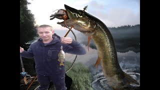 Рыба обхитрила нагибателя !