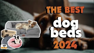 The Best Dog Beds 2024 in 2024 - Must Watch Before Buying!
