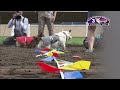 Canterbury Park Corgi Races August 1, 2021
