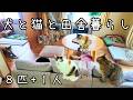やっぱり一人は寂しかった【犬と猫と北海道で田舎暮らし】