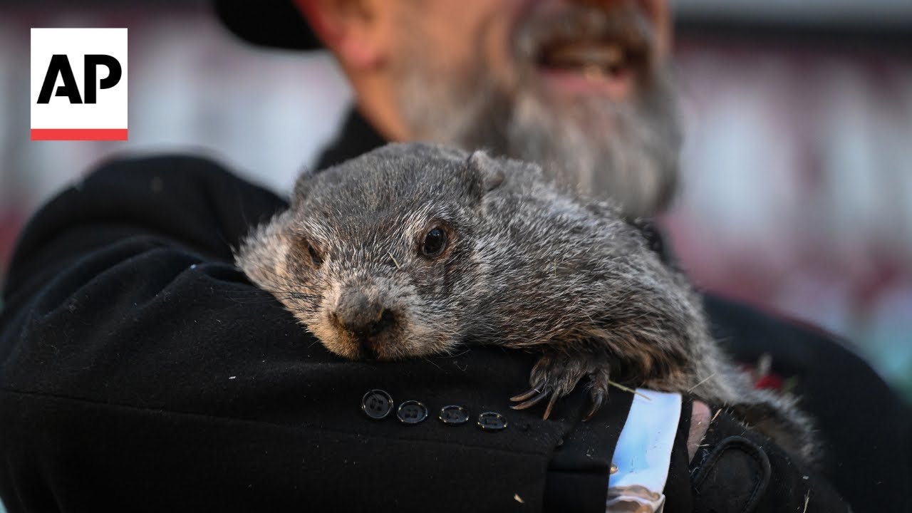 Reactions on Groundhog Day as Punxsutawney Phil predicts six more weeks of winter
