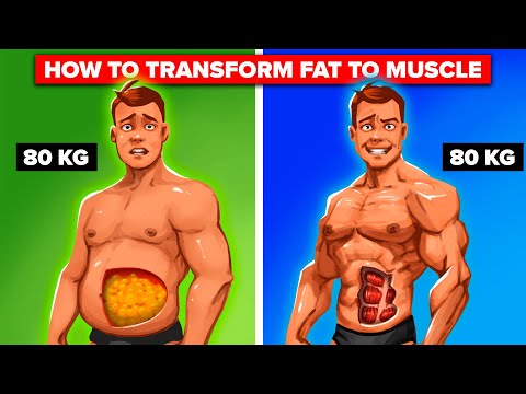 How to Lose Fat AND Gain Muscle At The Same Time (Step By Step) (Compilation)