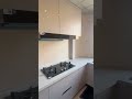 New Kitchen Reno: Stainless Steel Cabinet Install – Fresh Trends 2025!