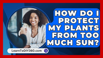 How Do I Protect My Plants From Too Much Sun? - LearnToDIY360.com