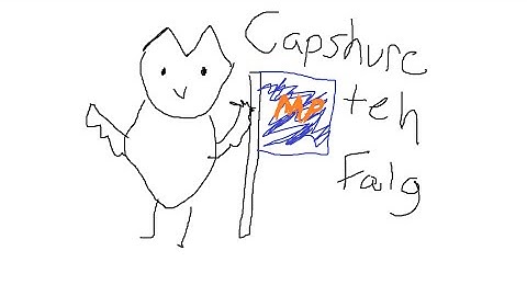 Mineplex CAPTURE THE FLAG - DEFINITION OF PRO