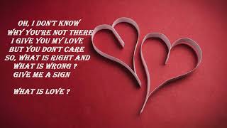 Lost Frequencies - What is love ? 2016 (lyrical video)