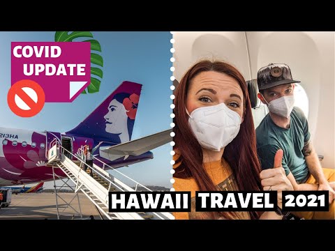 Video: ¿Qué aerolíneas vuelan a Maui?