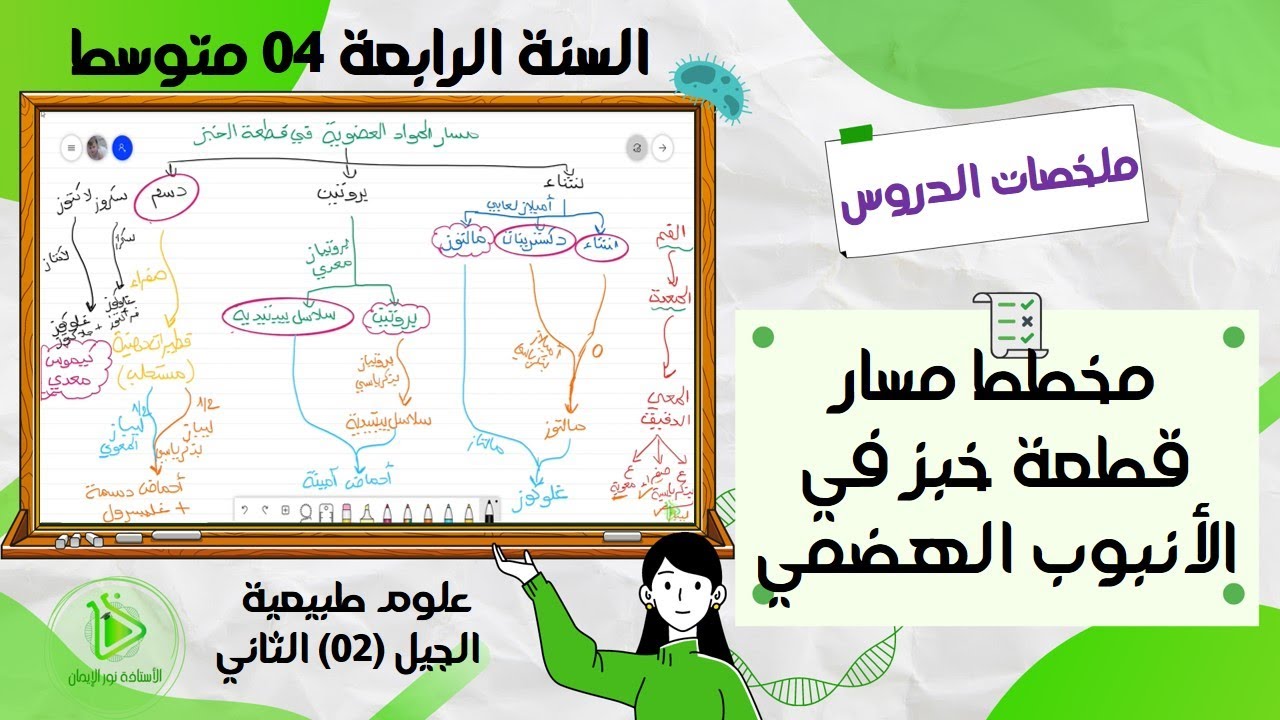 مخطط مسار قطعة خبز في الأنبوب الهضمي علوم طبيعية سنة 04 متوسط
