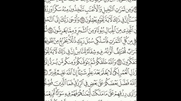 سورة النحل 65-72 (٢٧٤)     Sheikh Anas AlHibri