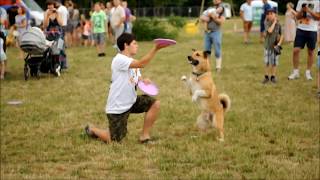 Dogshow Wroclaw by Dogs Of Anarchy 320 views 4 years ago 3 minutes, 27 seconds