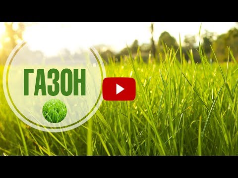 Газон Lawn 🌱 Как составить травосмесь советы HitsadTV Озеленение и уход.