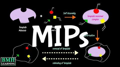Molecularly Imprinted Polymers | MIP | Molecular Imprinting Technology |