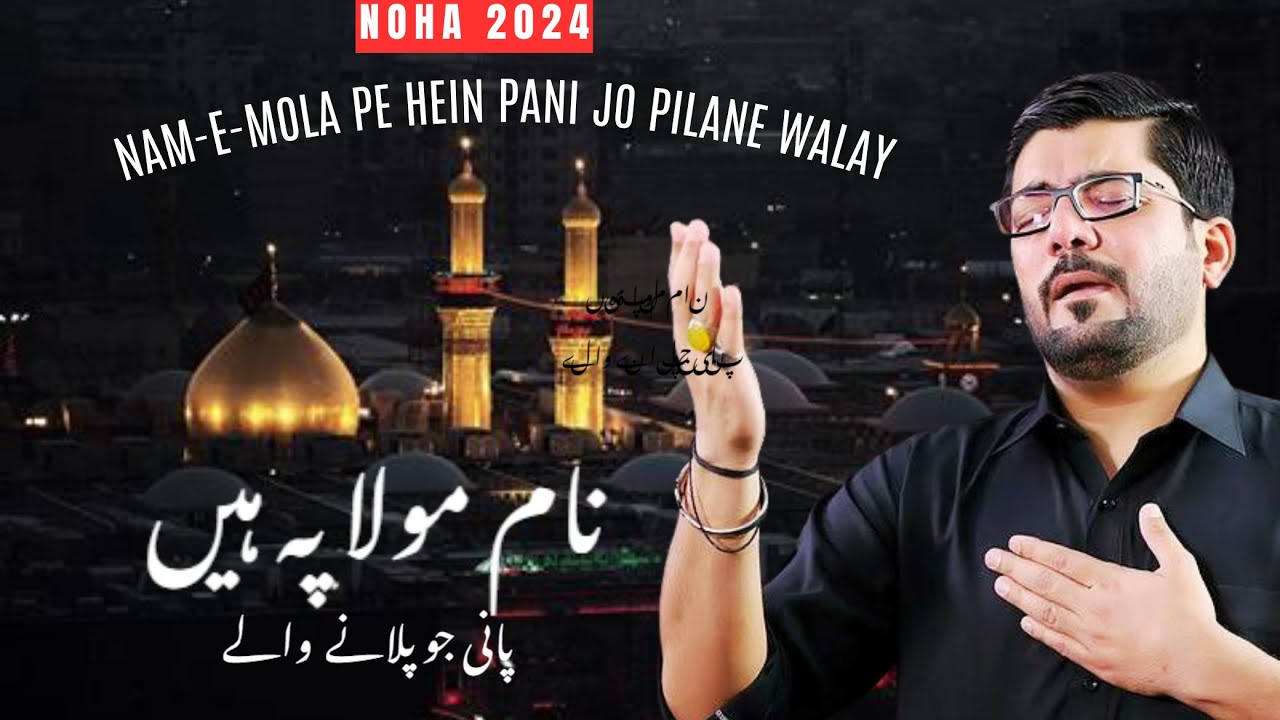 New Nohay 2024 Mir Hasan Mir new noha 2023 nadeem sarwar Sabeel e Imam